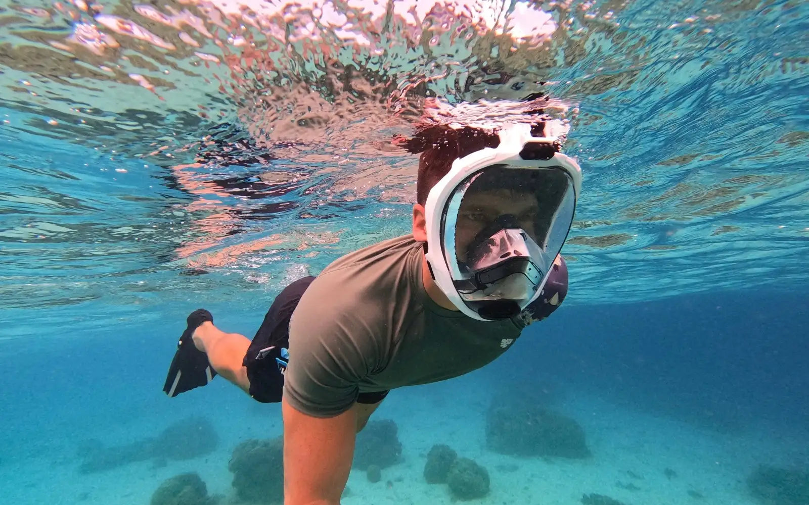 Schnorcheln auf Teneriffa: Schildkröten & die 10 besten Spots