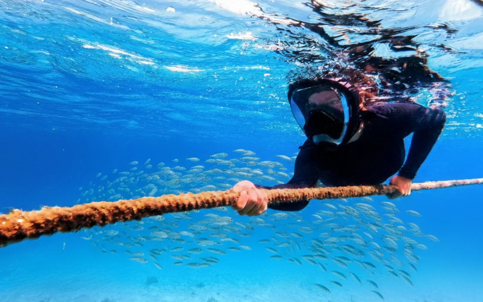 Die beste Schnorchelmaske 2026 | Kaufratgeber & Vergleich