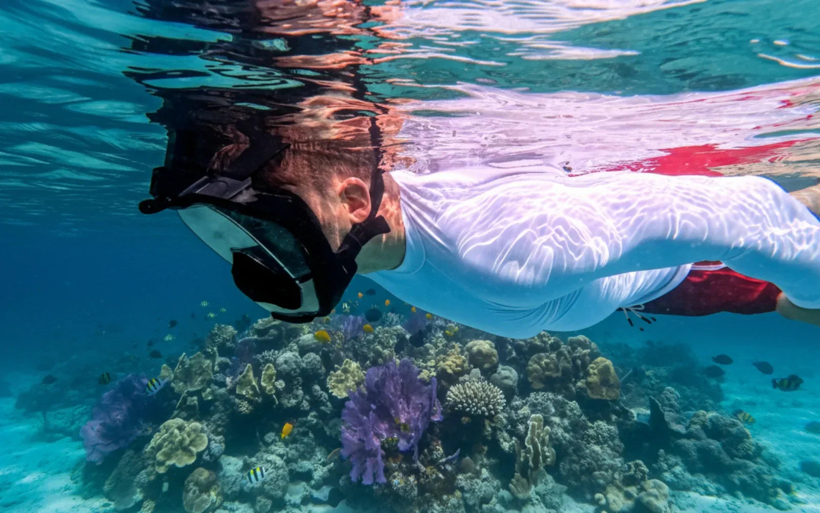 Vergleich der besten Schnorchelmasken für Erwachsene