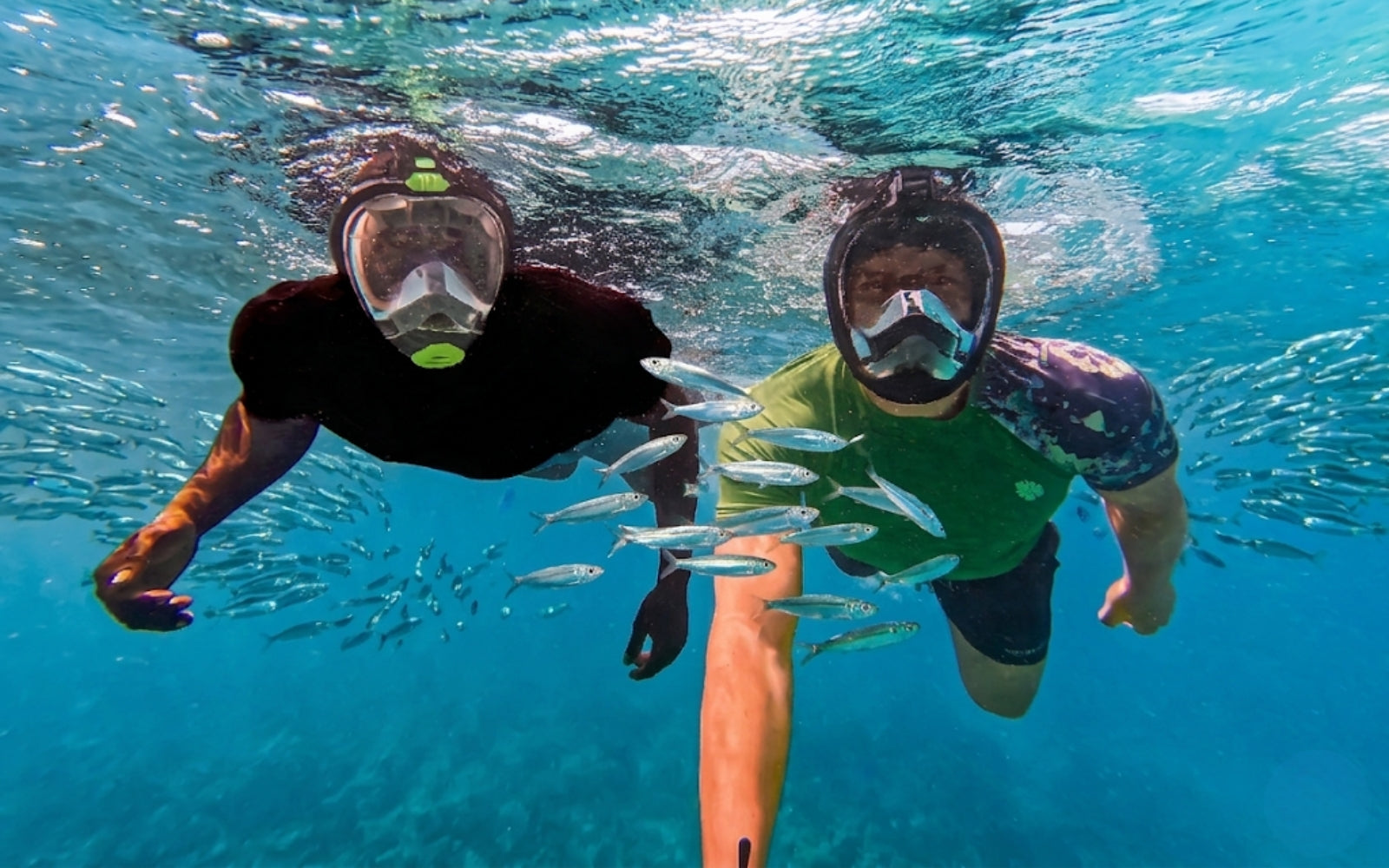 Schnorcheln auf Mallorca: Die 10 besten Buchten & Tipps 2026